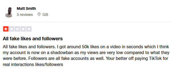 TubeKick user review - fake TikTok followers